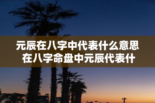 元辰在八字中代表什么意思 在八字命盘中元辰代表什么含义