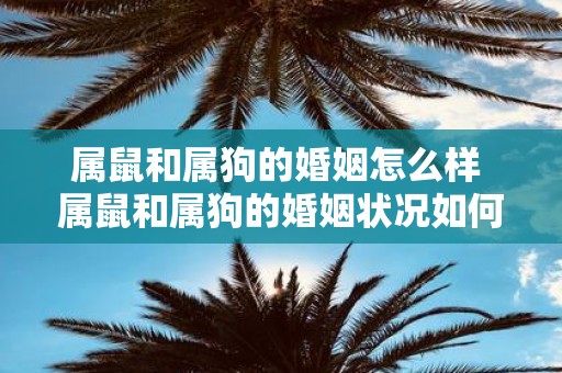 属鼠和属狗的婚姻怎么样 属鼠和属狗的婚姻状况如何