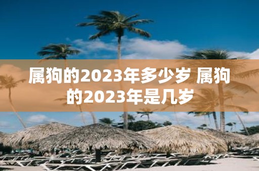 属狗的2025年多少岁 属狗的2025年是几岁