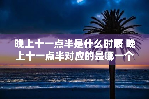 晚上十一点半是什么时辰 晚上十一点半对应的是哪一个时刻