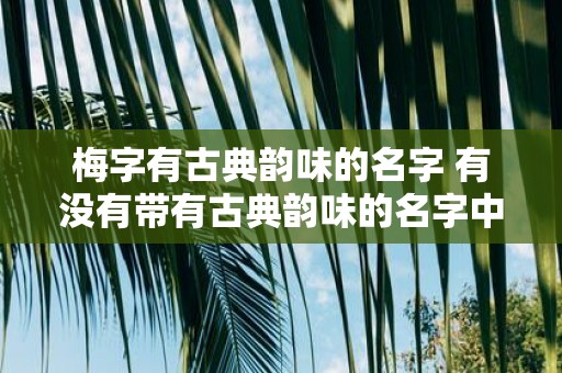 梅字有古典韵味的名字 有没有带有古典韵味的名字中带有梅字的