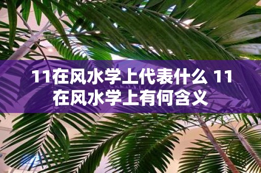 11在风水学上代表什么 11在风水学上有何含义