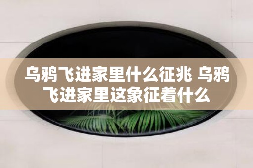 乌鸦飞进家里什么征兆 乌鸦飞进家里这象征着什么