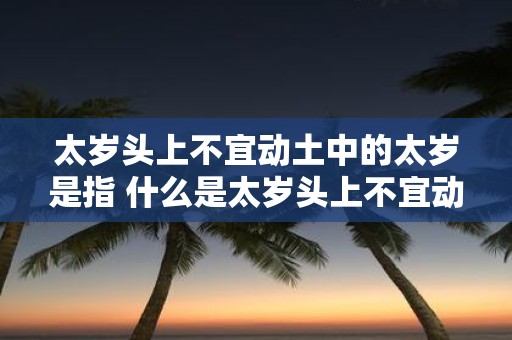 太岁头上不宜动土中的太岁是指 什么是太岁头上不宜动土中的太岁