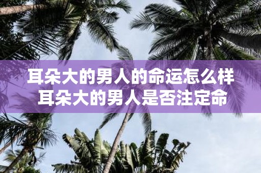 耳朵大的男人的命运怎么样 耳朵大的男人是否注定命运坎坷