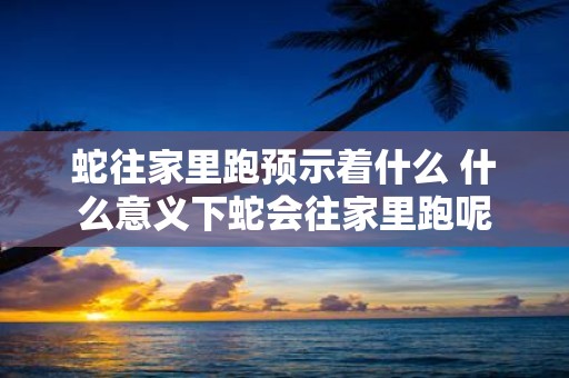 蛇往家里跑预示着什么 什么意义下蛇会往家里跑呢