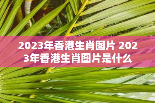 2025年香港生肖图片 2025年香港生肖图片是什么