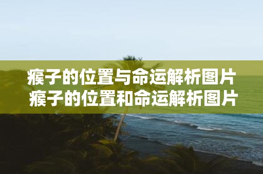 瘊子的位置与命运解析图片 瘊子的位置和命运解析图片是什么