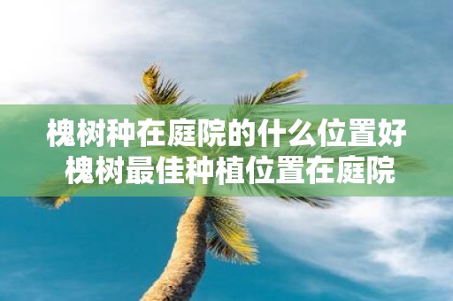 槐树种在庭院的什么位置好 槐树最佳种植位置在庭院中哪个区域