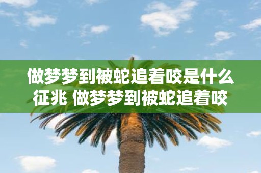 做梦梦到被蛇追着咬是什么征兆 做梦梦到被蛇追着咬是否具有某种不祥的预兆
