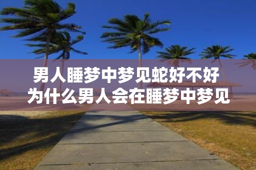 男人睡梦中梦见蛇好不好 为什么男人会在睡梦中梦见蛇