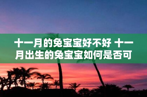 十一月的兔宝宝好不好 十一月出生的兔宝宝如何是否可爱