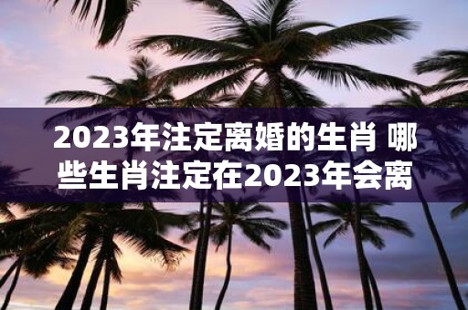 2025年注定离婚的生肖 哪些生肖注定在2025年会离婚
