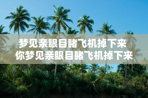 梦见亲眼目睹飞机掉下来 你梦见亲眼目睹飞机掉下来这代表什么意思