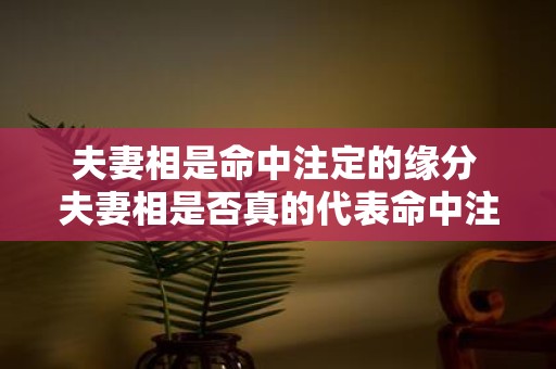夫妻相是命中注定的缘分 夫妻相是否真的代表命中注定的缘分