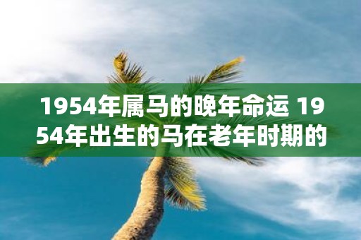 1954年属马的晚年命运 1954年出生的马在老年时期的命运如何