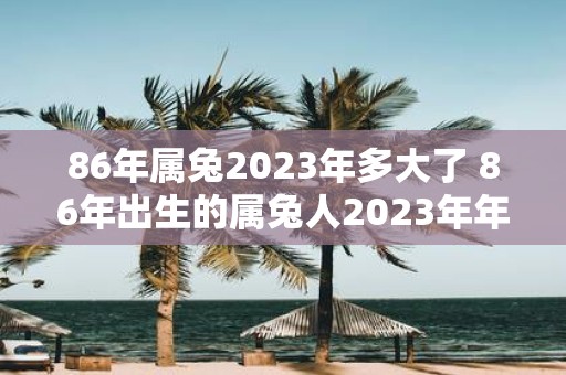 86年属兔2025年多大了 86年出生的属兔人2025年年龄是多少