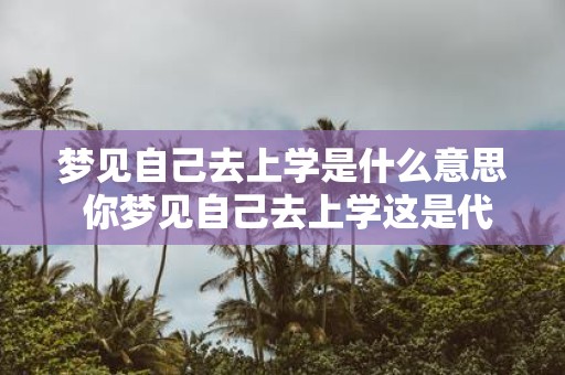 梦见自己去上学是什么意思 你梦见自己去上学这是代表着什么意思