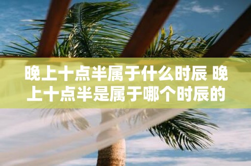 晚上十点半属于什么时辰 晚上十点半是属于哪个时辰的
