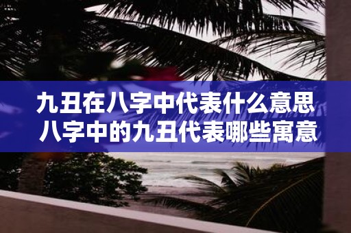 九丑在八字中代表什么意思 八字中的九丑代表哪些寓意和含义