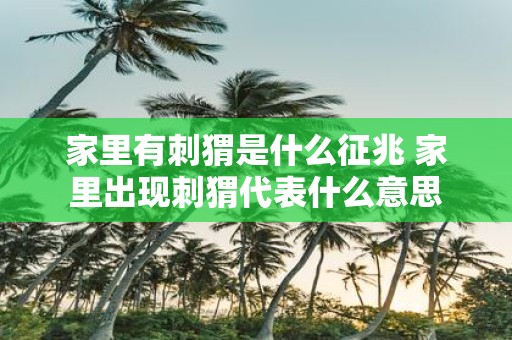 家里有刺猬是什么征兆 家里出现刺猬代表什么意思