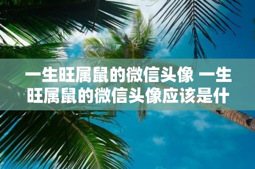 一生旺属鼠的微信头像 一生旺属鼠的微信头像应该是什么样子的呢
