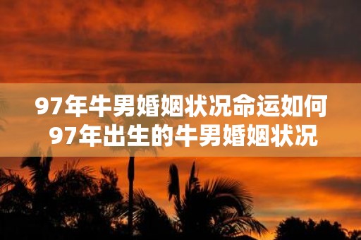 97年牛男婚姻状况命运如何 97年出生的牛男婚姻状况将如何命运又会如何