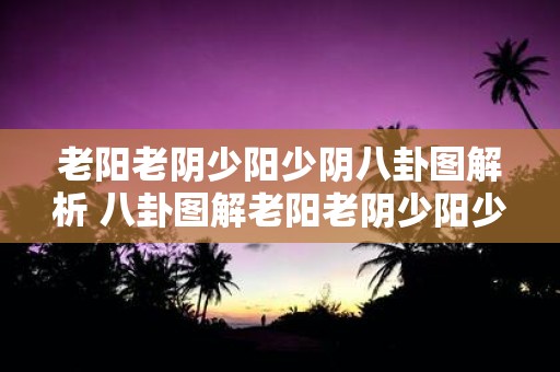 老阳老阴少阳少阴八卦图解析 八卦图解老阳老阴少阳少阴你知道其中的含义和运用吗