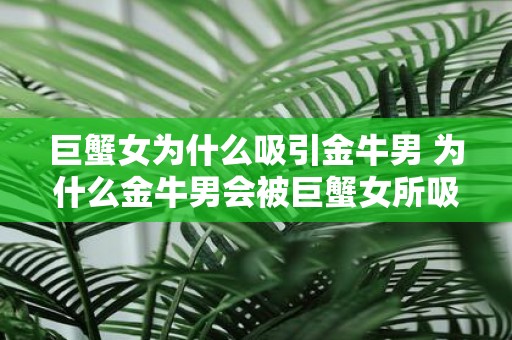 巨蟹女为什么吸引金牛男 为什么金牛男会被巨蟹女所吸引