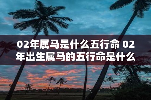 02年属马是什么五行命 02年出生属马的五行命是什么