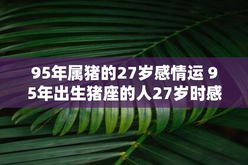 95年属猪的27岁感情运 95年出生猪座的人27岁时感情运势如何