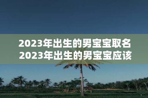 2025年出生的男宝宝取名 2025年出生的男宝宝应该取什么名字