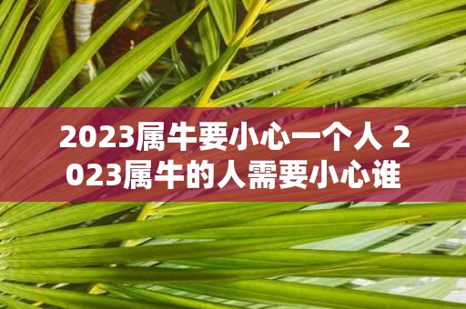 2025属牛要小心一个人 2025属牛的人需要小心谁