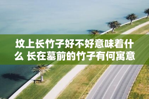 坟上长竹子好不好意味着什么 长在墓前的竹子有何寓意