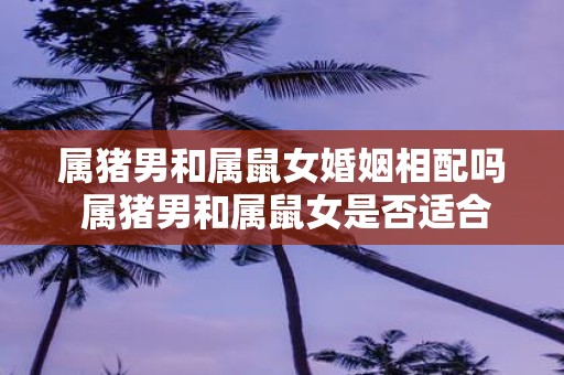 属猪男和属鼠女婚姻相配吗 属猪男和属鼠女是否适合结婚