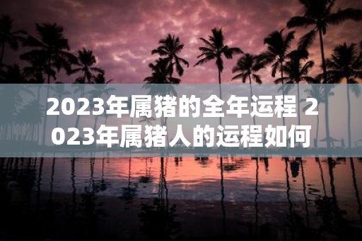 2025年属猪的全年运程 2025年属猪人的运程如何