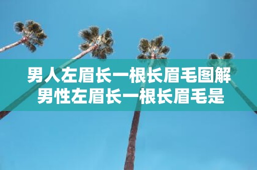 男人左眉长一根长眉毛图解 男性左眉长一根长眉毛是什么原因附带图解
