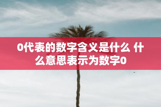 0代表的数字含义是什么 什么意思表示为数字0