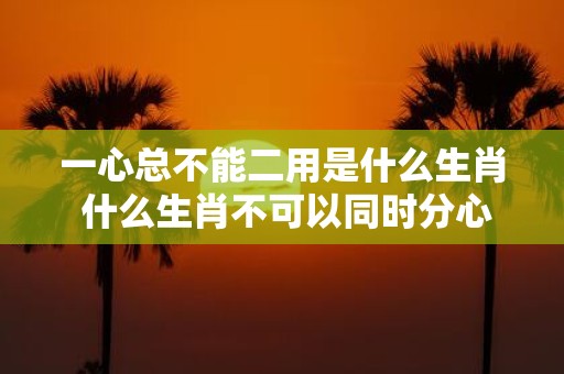 一心总不能二用是什么生肖 什么生肖不可以同时分心做两件事