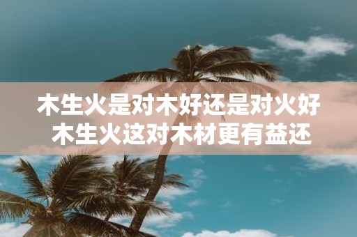 木生火是对木好还是对火好 木生火这对木材更有益还是对火源更有益