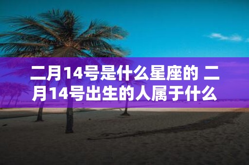二月14号是什么星座的 二月14号出生的人属于什么星座
