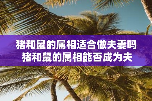 猪和鼠的属相适合做夫妻吗 猪和鼠的属相能否成为夫妻配对