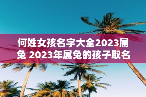 何姓女孩名字大全2025属兔 2025年属兔的孩子取名何姓女孩名字大全有哪些