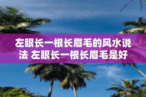 左眼长一根长眉毛的风水说法 左眼长一根长眉毛是好还是坏在风水学中有何说法