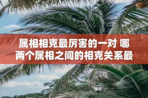 属相相克最厉害的一对 哪两个属相之间的相克关系最为强烈