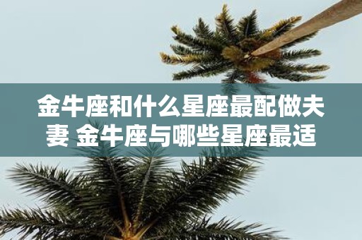 金牛座和什么星座最配做夫妻 金牛座与哪些星座最适合结为夫妻