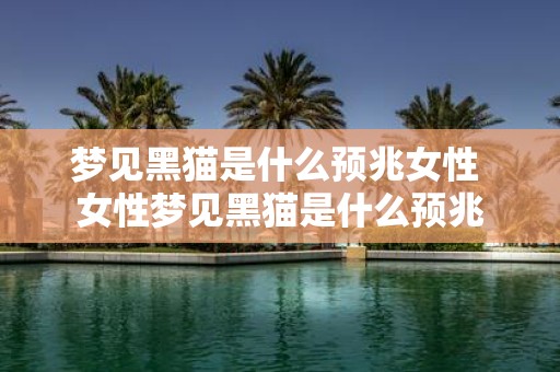 梦见黑猫是什么预兆女性 女性梦见黑猫是什么预兆