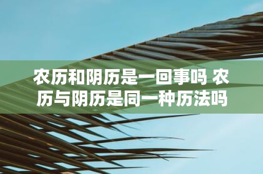农历和阴历是一回事吗 农历与阴历是同一种历法吗
