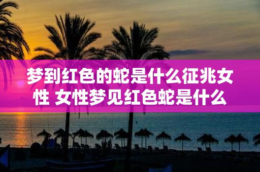 梦到红色的蛇是什么征兆女性 女性梦见红色蛇是什么预示意义