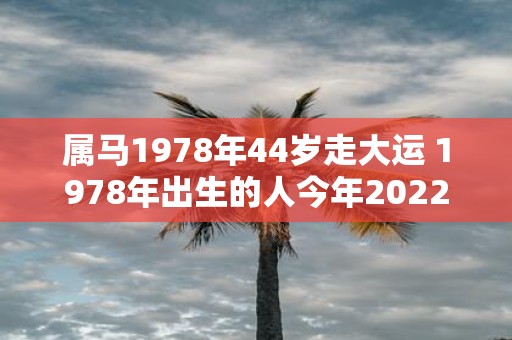 属马1978年44岁走大运 1978年出生的人今年2022年44岁是否会步入大运